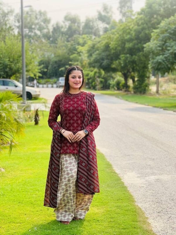 BERRY🫐 3PC SUIT WITH FARSI SALWAR - Image 10