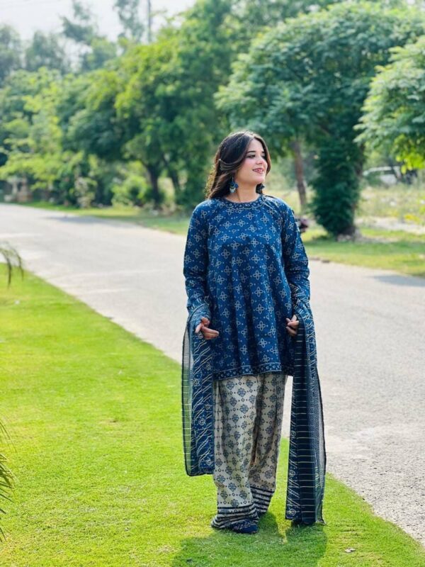 BERRY🫐 3PC SUIT WITH FARSI SALWAR - Image 9