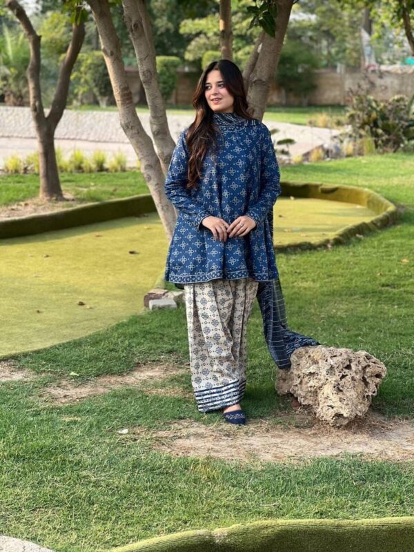 BERRY🫐 3PC SUIT WITH FARSI SALWAR - Image 6
