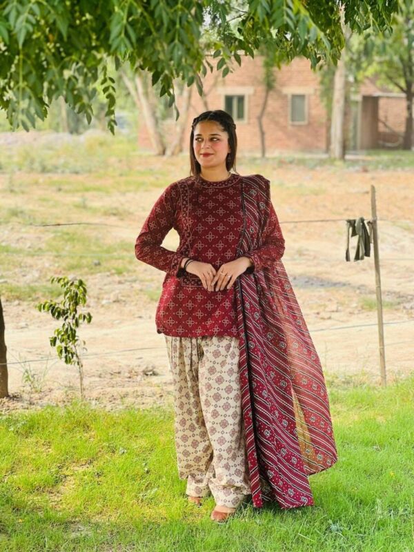 BERRY🫐 3PC SUIT WITH FARSI SALWAR - Image 4