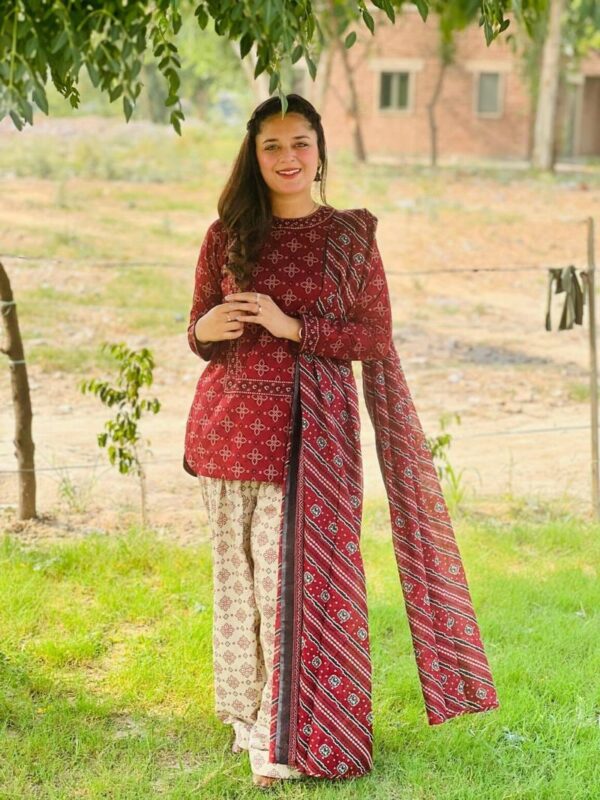 BERRY🫐 3PC SUIT WITH FARSI SALWAR - Image 5