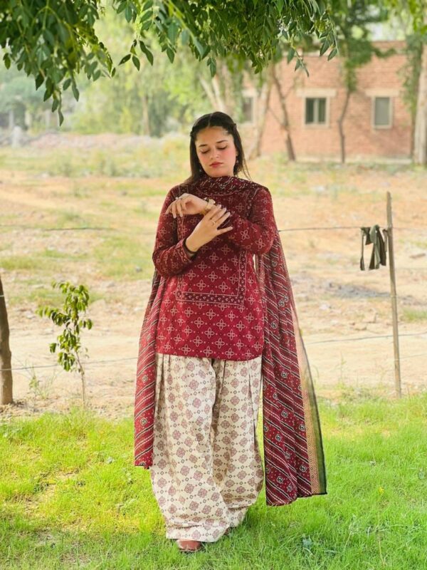 BERRY🫐 3PC SUIT WITH FARSI SALWAR - Image 3