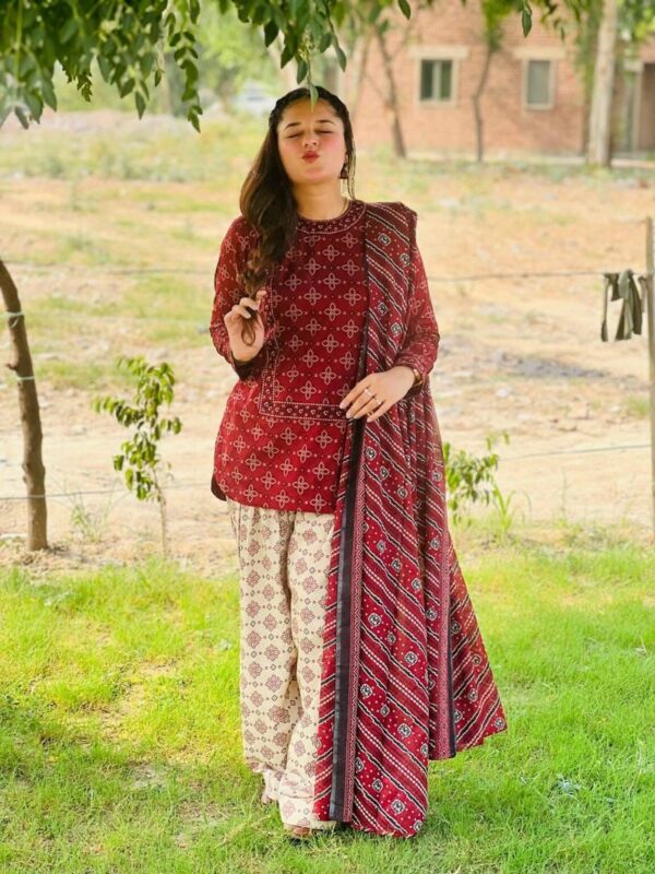 BERRY🫐 3PC SUIT WITH FARSI SALWAR - Image 2